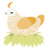 Melon, a white and honey chicken with a double-lace pattern