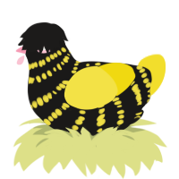 A sable and yellow chicken with a bar pattern