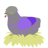 Lucky, a ash and blurple chicken with a speckle pattern