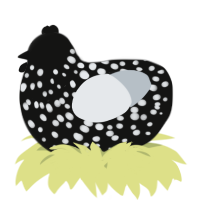 A black and mist chicken with a speckle pattern