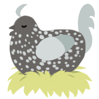 Greylist, a grey and silver chicken with a speckle pattern