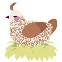 A cream and brown chicken with a double-lace pattern
