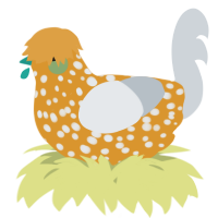 A orange and mist chicken with a speckle pattern