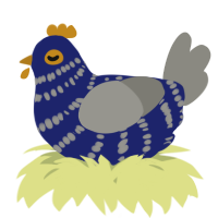 A navy and ash chicken with a bar pattern
