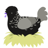(unnamed), a sable and ash chicken with a half-lace pattern
