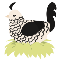 A cream and sable chicken with a lace pattern
