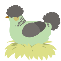 A gluppy and grey chicken with a neck-band pattern