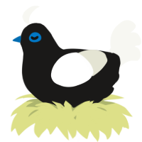 A sable and white chicken
