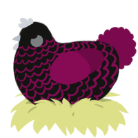 A black and wine chicken with a lace pattern