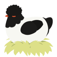 A white and sable chicken with a head pattern