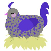 A ash and indigo chicken with a speckle pattern