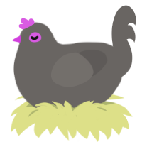 Disco Ball, a grey chicken