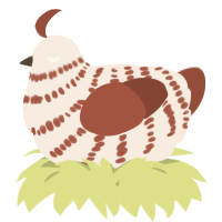 A cream and russet chicken with a bar pattern