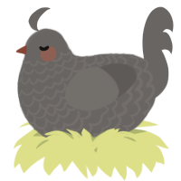 A grey chicken with a lace pattern