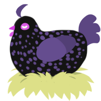 A black and overcast chicken with a speckle pattern