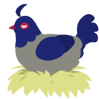 A ash and navy chicken with a head pattern