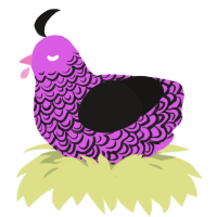 Mistress, a orchid and sable chicken with a double-lace pattern