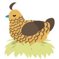 A honey and bark chicken with a lace pattern