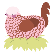 A rose and russet chicken with a lace pattern