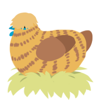 A honey and brown chicken with a bar pattern