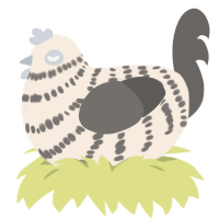 A cream and grey chicken with a bar pattern