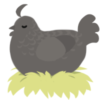 cremation, a grey chicken with a half-lace pattern