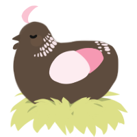 A bark and rose chicken with a neck-band pattern