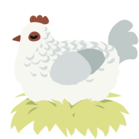 A white and silver chicken with a half-lace pattern