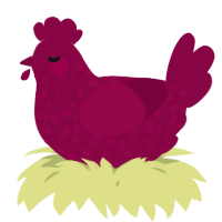 A maroon chicken with a speckle pattern