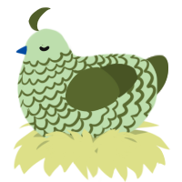 A gluppy and olive chicken with a lace pattern