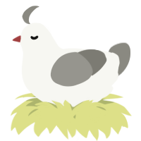 A white and ash chicken