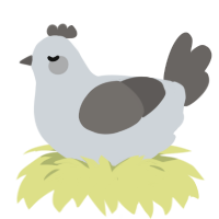 Chroma, a mist and grey chicken