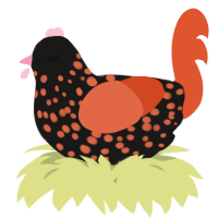 A sable and vermilion chicken with a speckle pattern