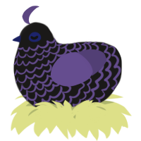 A sable and overcast chicken with a lace pattern