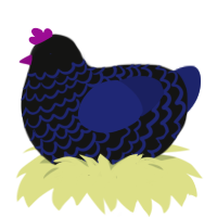 Twisted Cycle Path, a black and navy chicken with a lace pattern