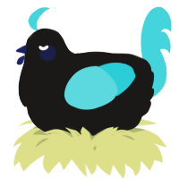 A sable and aqua chicken