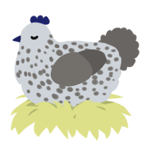 A mist and grey chicken with a speckle pattern