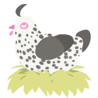 A white and grey chicken with a speckle pattern