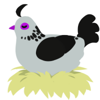 Bonedust, a silver and black chicken with a neck-speckle pattern
