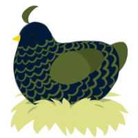 (unnamed), a tumblr and olive chicken with a lace pattern