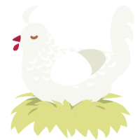 A white chicken with a half-lace pattern