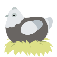 A grey and mist chicken with a head pattern