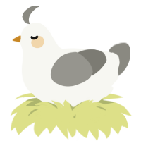 A white and ash chicken
