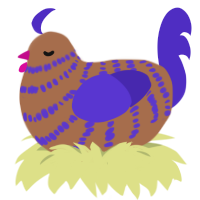 A brown and indigo chicken with a bar pattern
