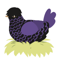 A sable and overcast chicken with a lace pattern