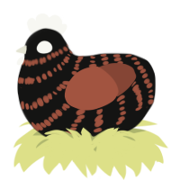 A black and russet chicken with a bar pattern