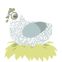 (unnamed), a pink and cerulean chicken with a double-lace pattern
