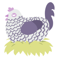 Ominous Wind, a silver and overcast chicken with a lace pattern