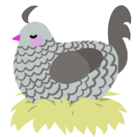 A silver and grey chicken with a lace pattern