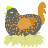 A grey and orange chicken with a speckle pattern